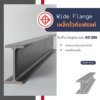 เหล็กไวด์แฟรงค์